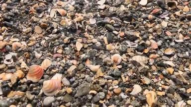 在晴朗的天气里，海浪的特写镜头冲刷着卵石海岸。被海浪打湿的海卵石在阳光下闪闪发光。
